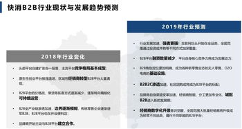 新经销 2018 2019快消b2b行业趋势报告